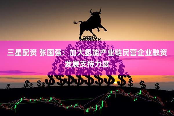 三星配资 张国强：加大氢能产业链民营企业融资发展支持力度