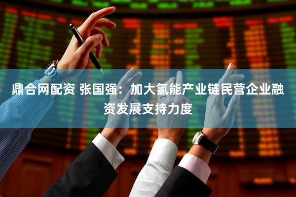鼎合网配资 张国强：加大氢能产业链民营企业融资发展支持力度