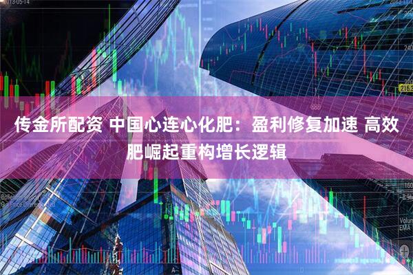 传金所配资 中国心连心化肥：盈利修复加速 高效肥崛起重构增长逻辑
